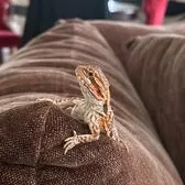 creator Talkior-ektyNv6a's avatar