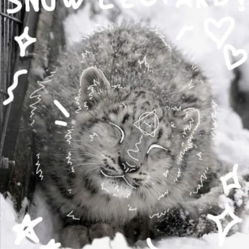 creator ☀✩𝙰𝚙𝚘𝚕𝚕𝚘_𝚔𝚒𝚍☆☀'s avatar