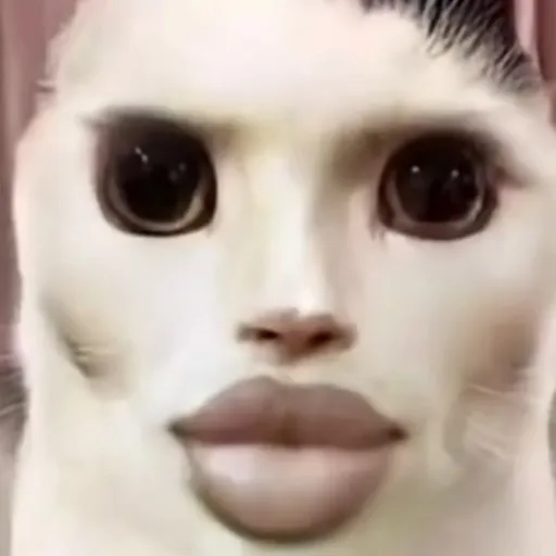 creator BBQ bacon burger🤑🤑's avatar