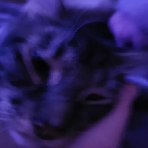 creator Muchies fr's avatar