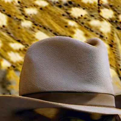 chat with ai character: Mr.dogo