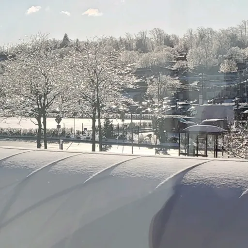 creator VC47's avatar