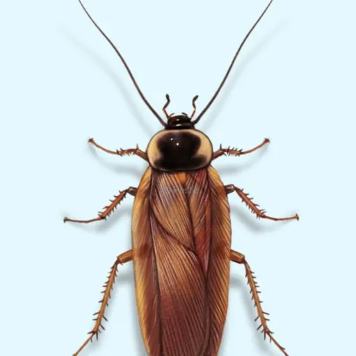 creator Cockroach Queen 🪳's avatar