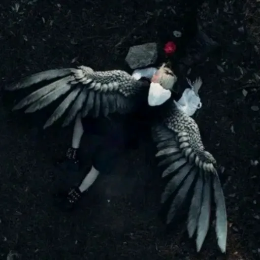 creator ♤Felix♧'s avatar