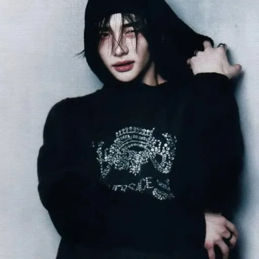 creator Hyunjin fan🇰🇷's avatar