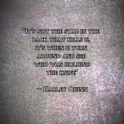 creator madilynnn❤❤❤❤❤❤'s avatar