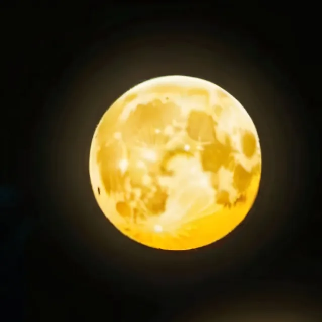 chat with ai character: why r u on talkie💀