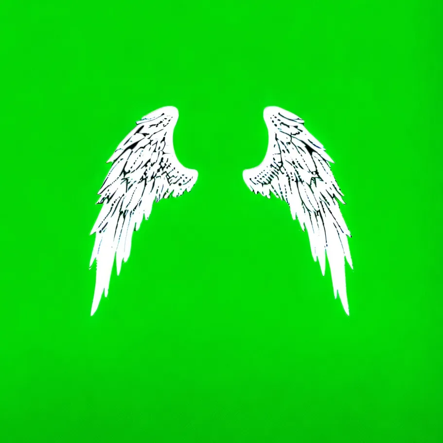 chat with ai character: Cursed wings