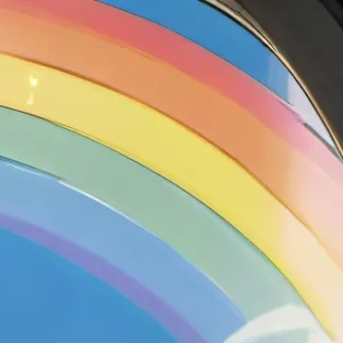 chat with ai character: Rainbow Gay