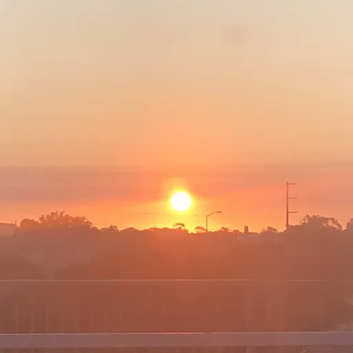 creator Thing_7's avatar