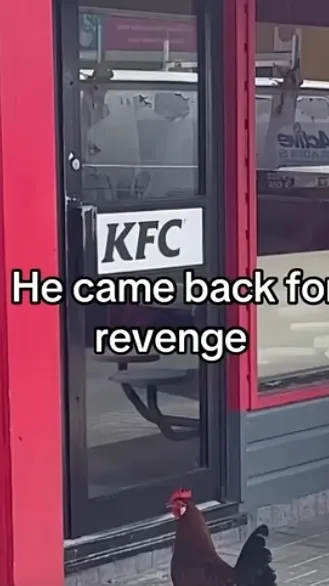 ai character: Crk JOB// background