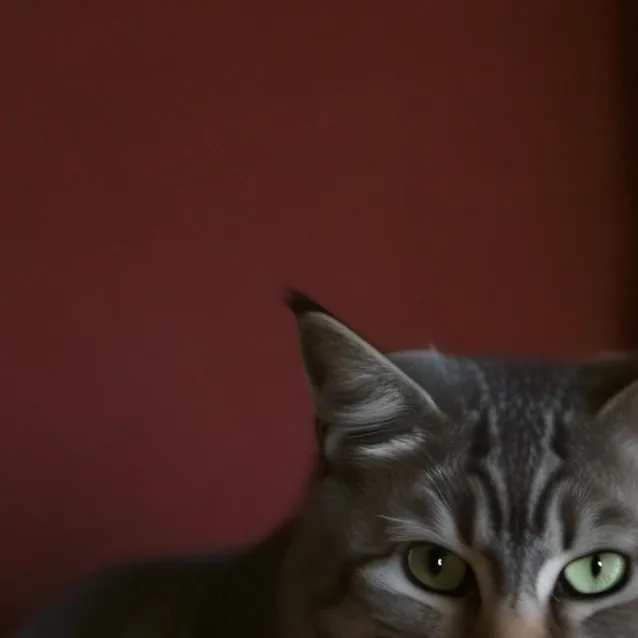 chat with ai character: kit kat