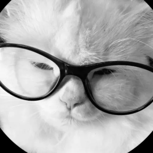 creator cupidityu's avatar