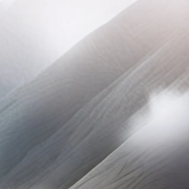 chat with ai character: roadtrip