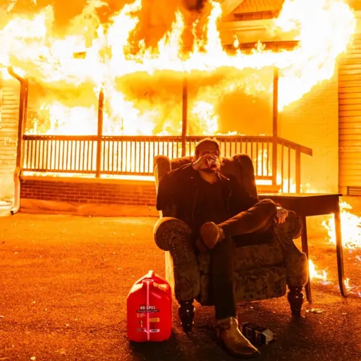 creator Alstroemeria Al's avatar