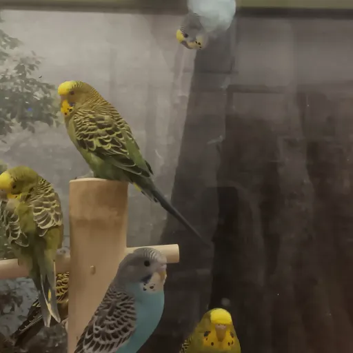 creator LilacandJake2's avatar