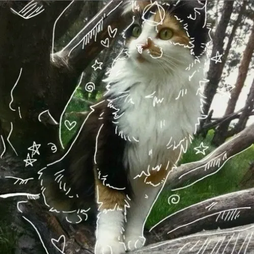 creator crusty_bitch's avatar