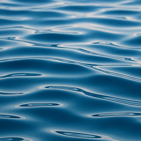 chat with ai character: Water Roaster