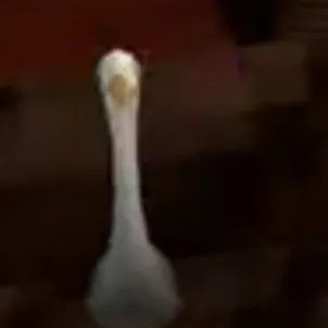 creator inosukay's avatar