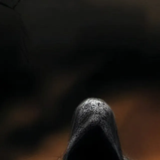 chat with ai character: A scary monster