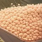 chat with ai character: nerd