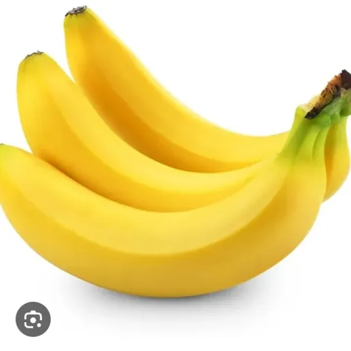 creator hamsterkat1839's avatar