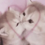 creator Honey boba bee's avatar