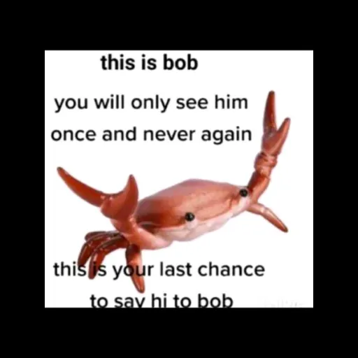 creator Morgan the guy's avatar