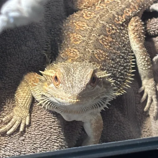 creator ★~Snow/Snowy~★'s avatar