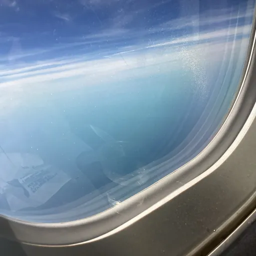 creator 🫐Urfavblueberry's avatar