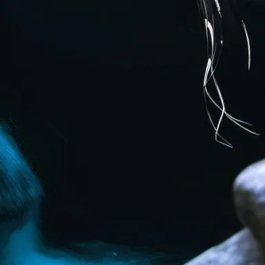 chat with ai character: D4 (CAST) 