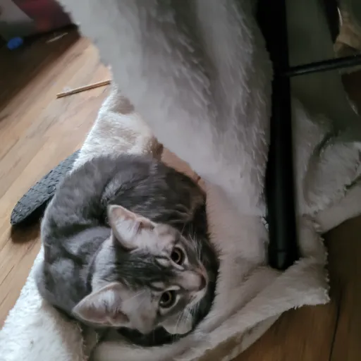 creator 🇰🇷W31rdc0r3_l0v3🇰🇷's avatar