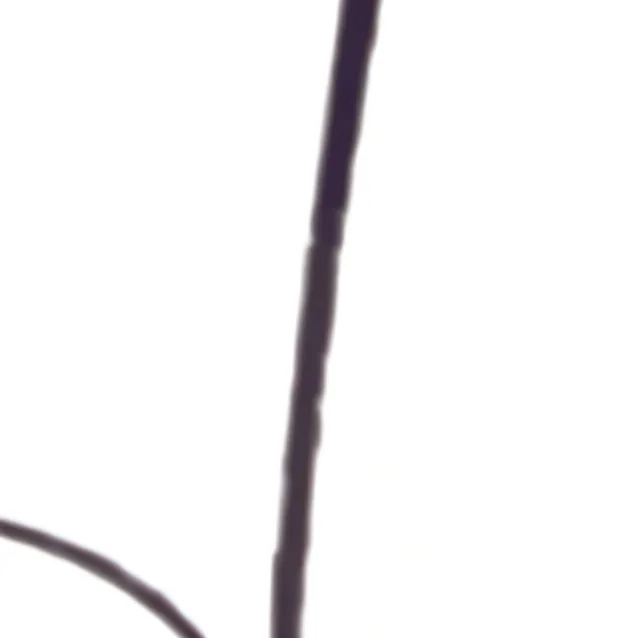 chat with ai character: Roxo