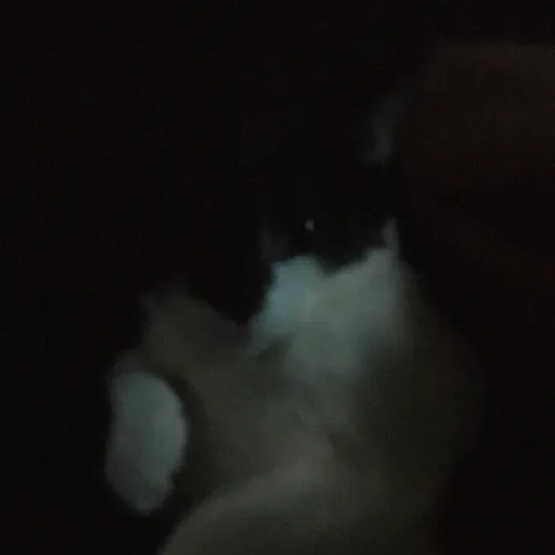 creator Broke ass bitch's avatar