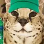 chat with ai character: Sogga