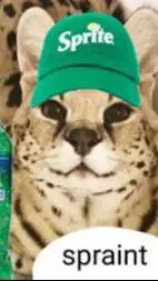 ai character: Sogga background