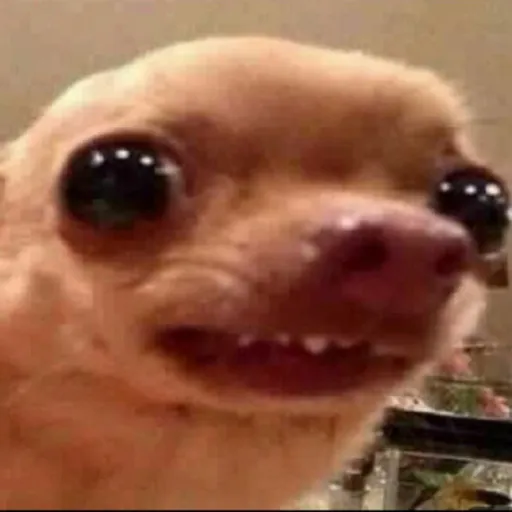 creator ~~Eddie~~🇬🇧's avatar