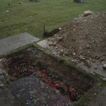 creator mayafr🫶's avatar