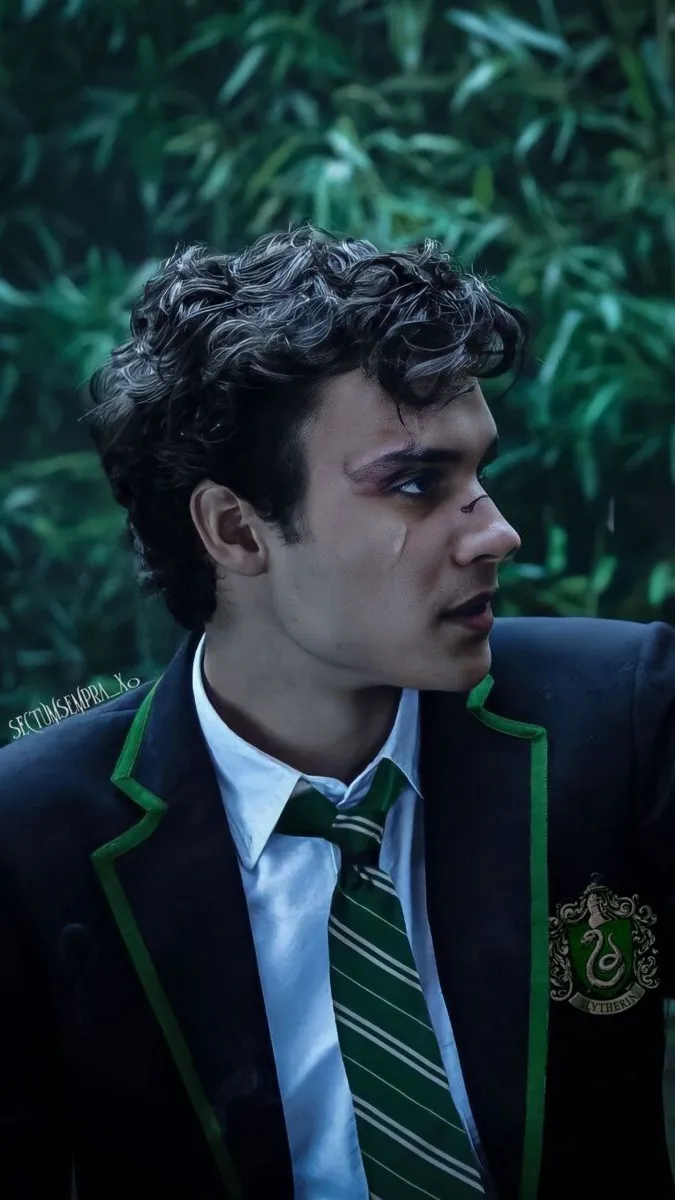 ai character: 💚Mattheo Riddle💚 background