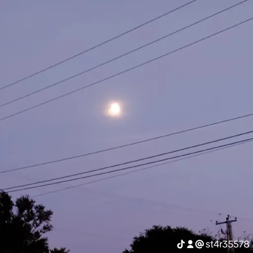 creator st4r 4 life★'s avatar