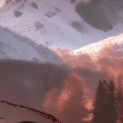 chat with ai character: Murder drones