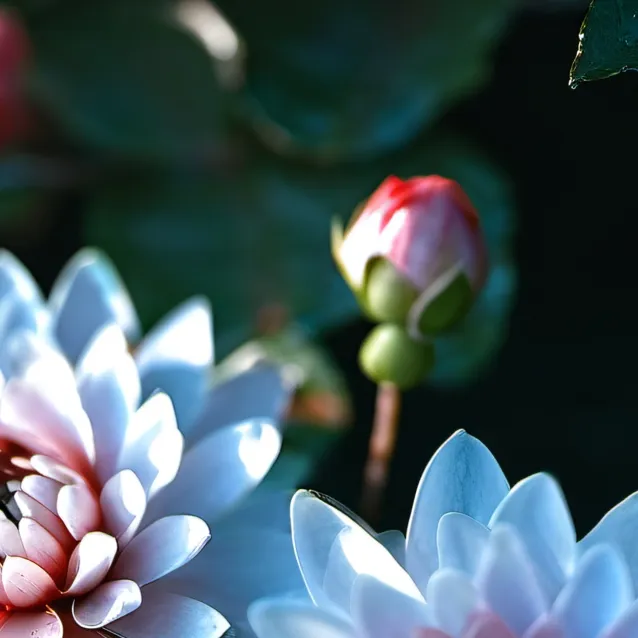 chat with ai character: Aiden