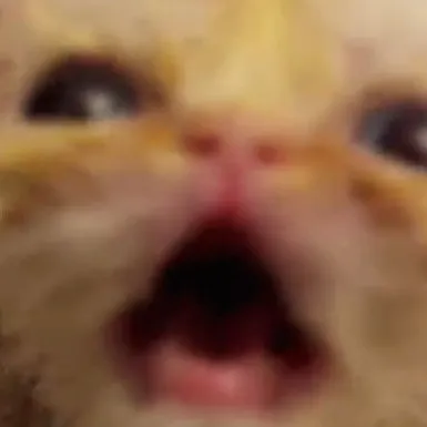 creator its yo gurl addi★'s avatar