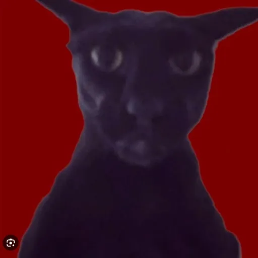 creator EVILLARRYISEVIL's avatar