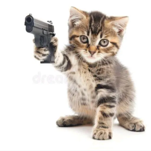 creator Michael-ZNiZwjbv's avatar