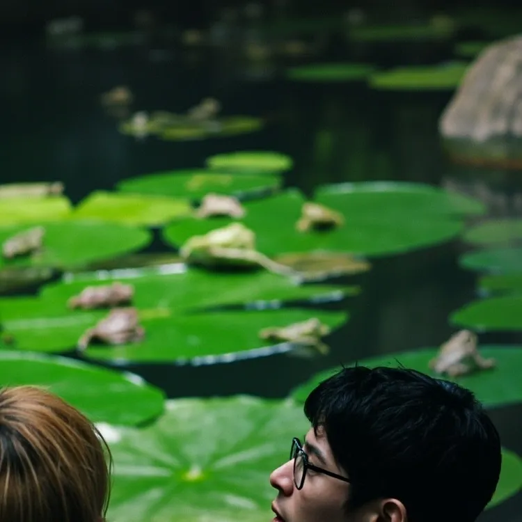 chat with ai character: zoo