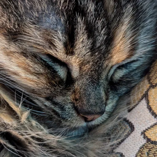 creator funfun2000's avatar