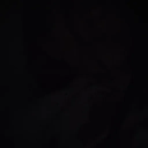 creator ello_-109∆∆'s avatar