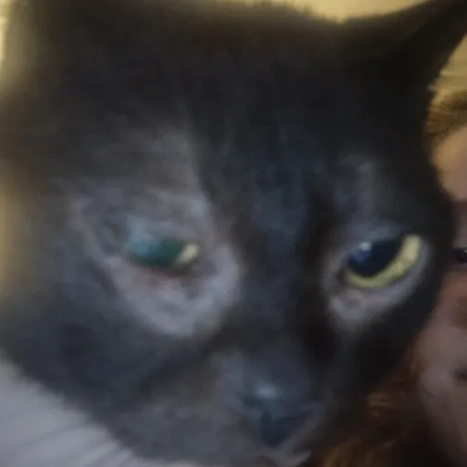 creator gimpyisthebest#1's avatar