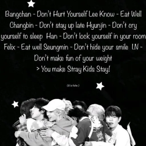 creator Stray kids/SKZ's avatar